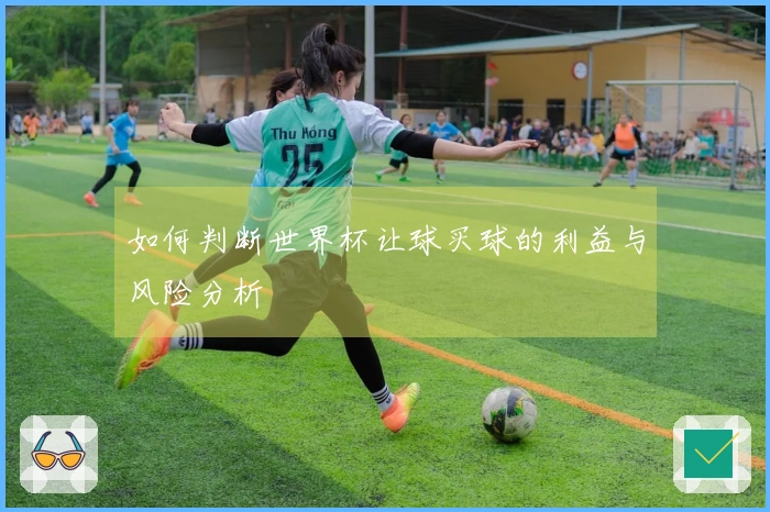 如何判断世界杯让球买球的利益与风险分析