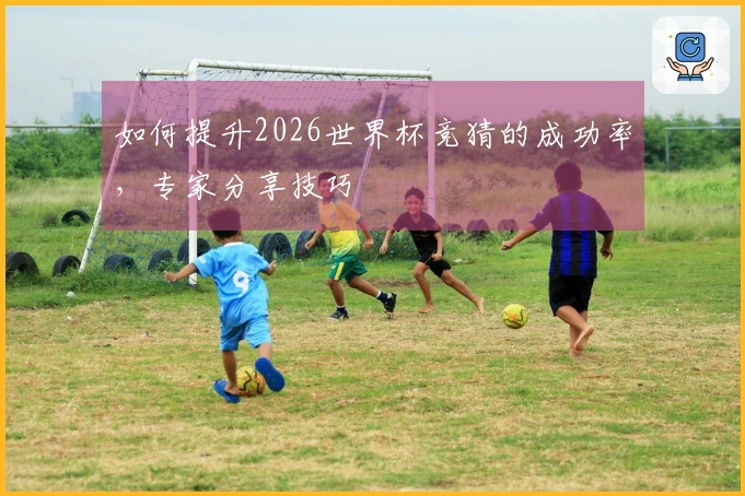 如何提升2026世界杯竞猜的成功率，专家分享技巧