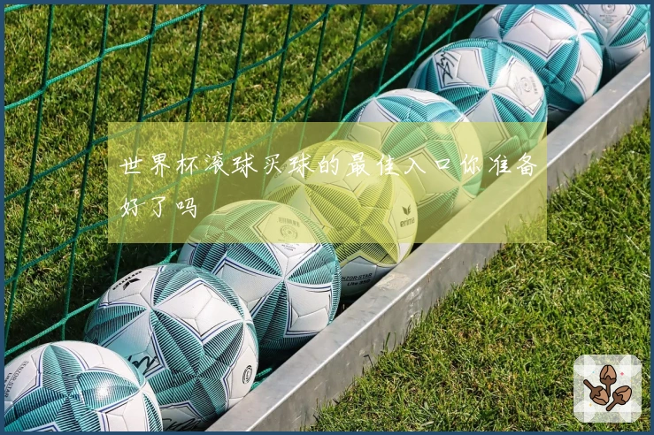 世界杯滚球买球的最佳入口你准备好了吗